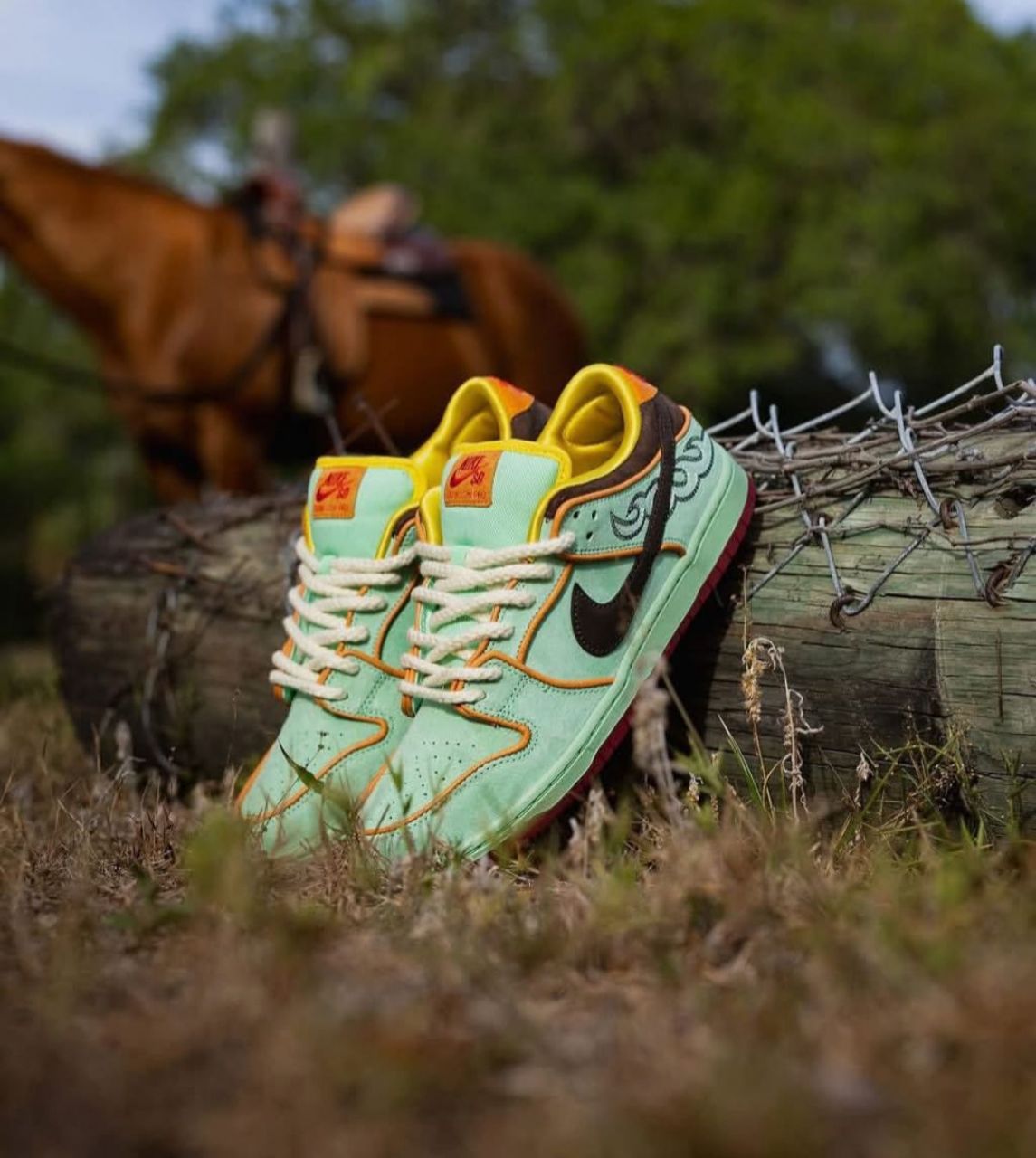 Sb Dunk Rodeo Tourmaline