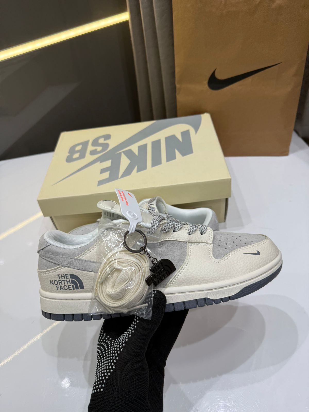 SB DUNK LOW NORTH FACE 2025