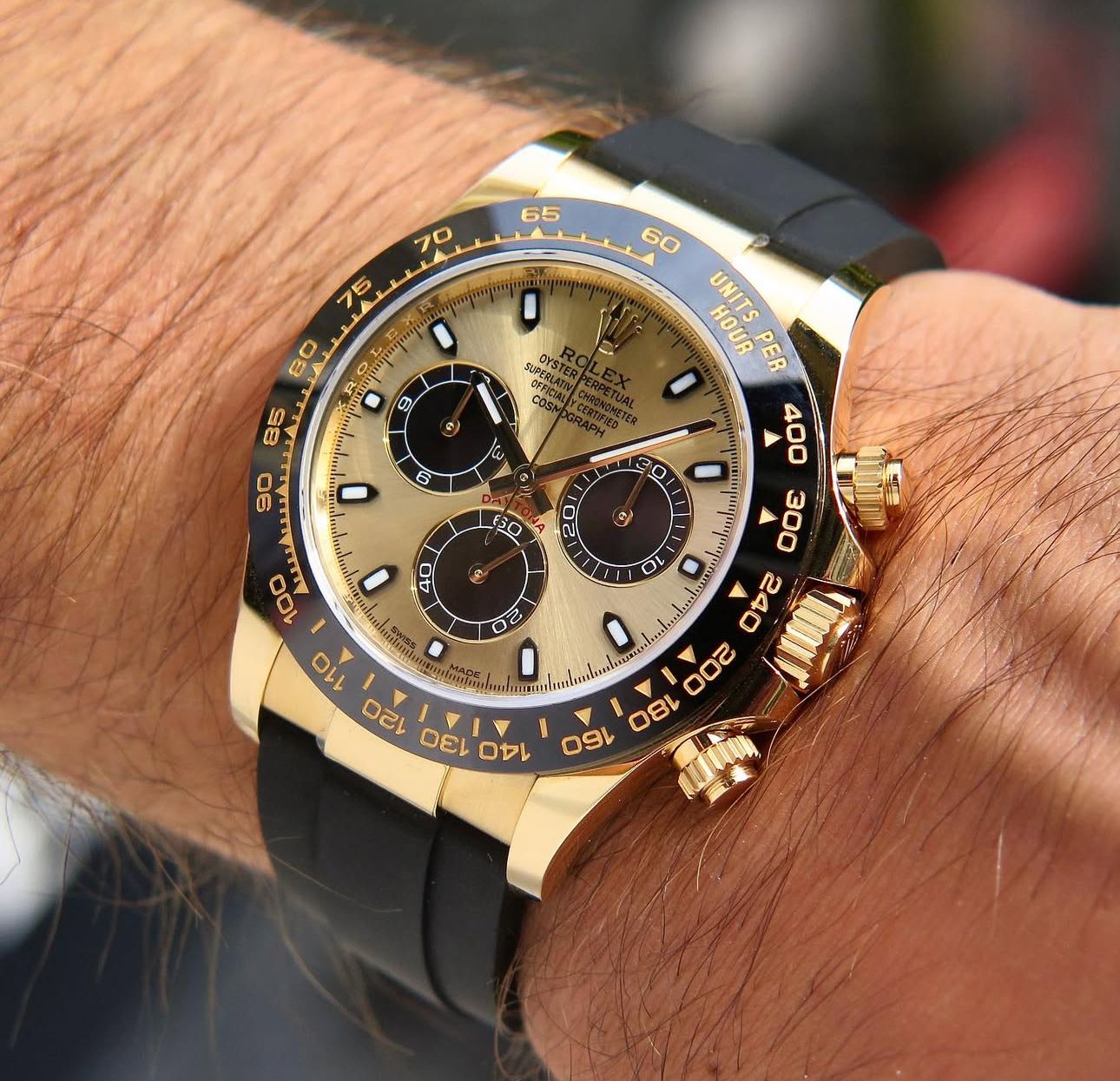 DAYTONA OYSTERFLEX